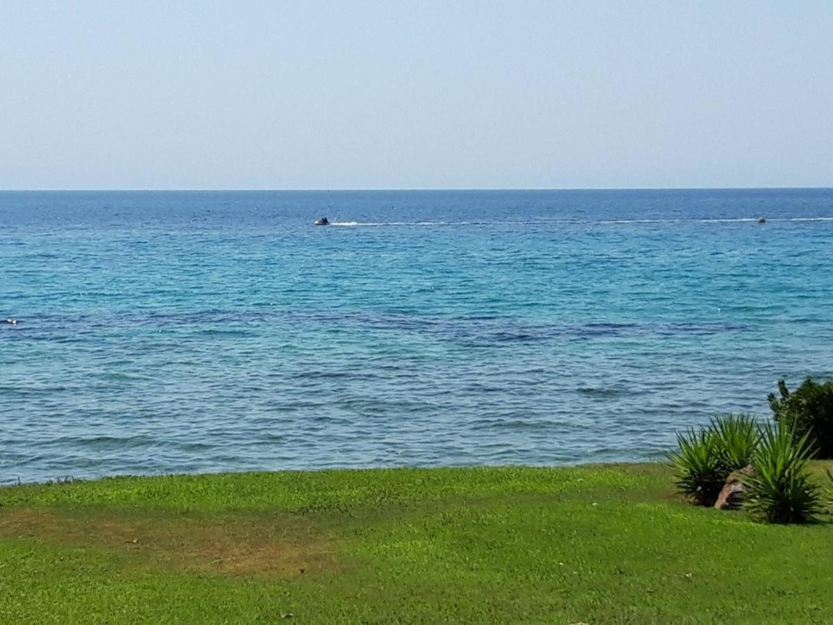 Villa 3Ω Nea Skioni Dış mekan fotoğraf